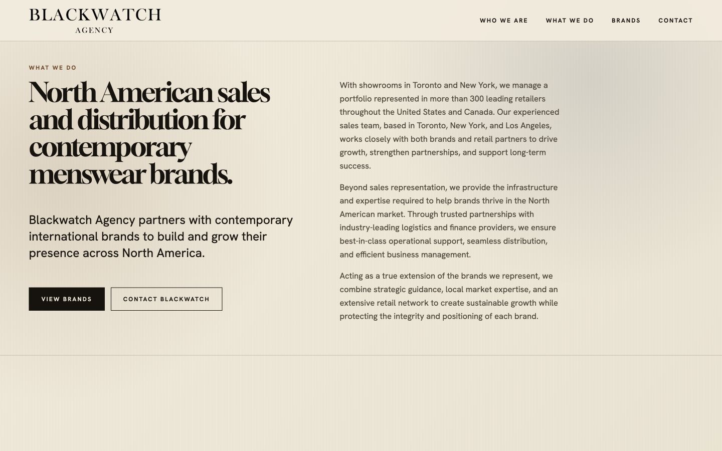 Blackwatch Agency services overview on desktop